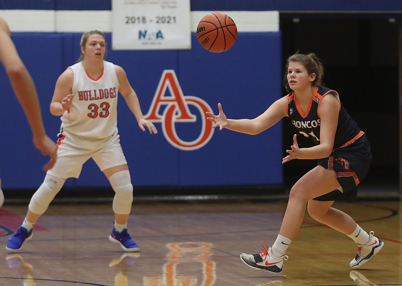 St Teresa vs Cerro Gordo Bement 8 1.2.19.jpg